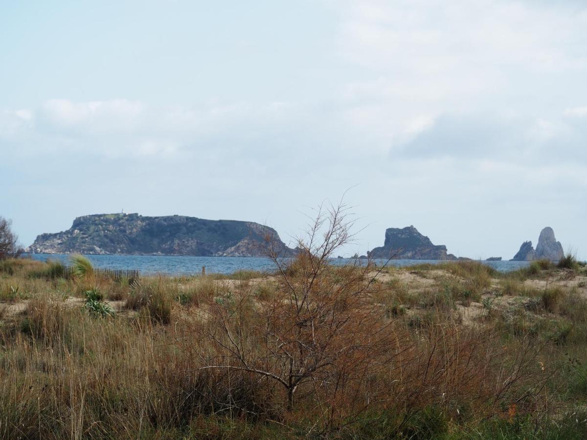 Apartamento Centrico Y Renovado, 100M De La Playa 埃斯塔蒂特 外观 照片